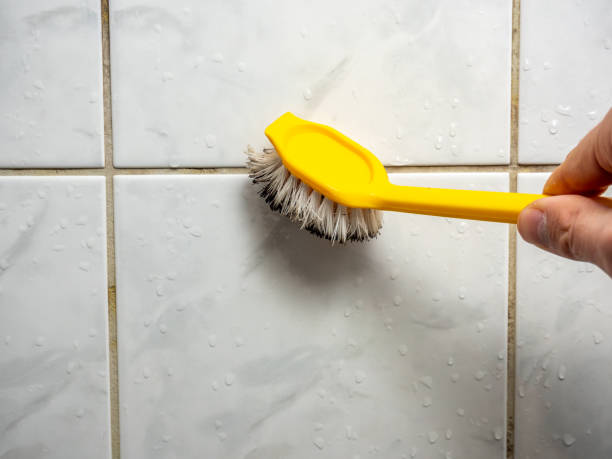Best Professional Mold Removal  in Ruthers, CA