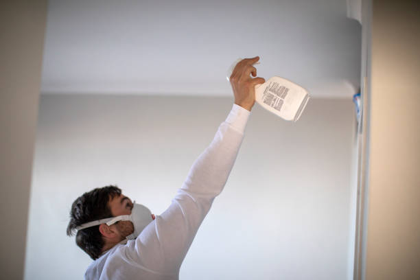 Best Attic Mold Removal  in Ruthers, CA