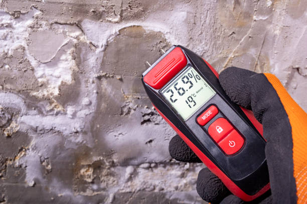 Best Mold Removal Specialists  in Ruthers, CA