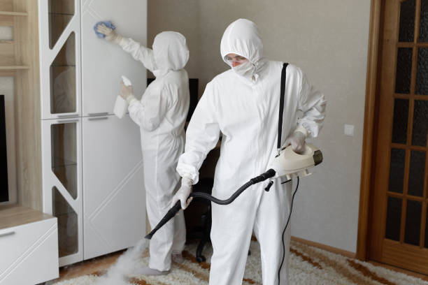 Best Toxic Mold Removal  in Ruthers, CA