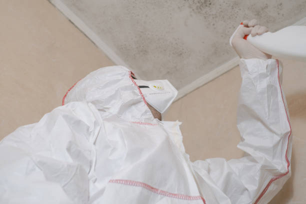Best Crawl Space Mold Removal  in Ruthers, CA
