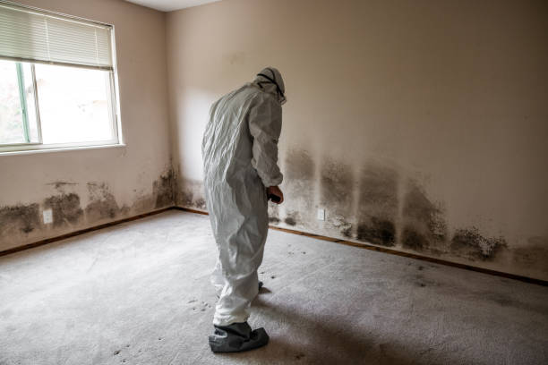 Crawl Space Mold Removal in Caruthers, CA