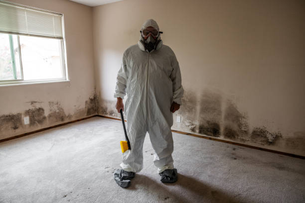 Best Professional Mold Removal  in Ruthers, CA
